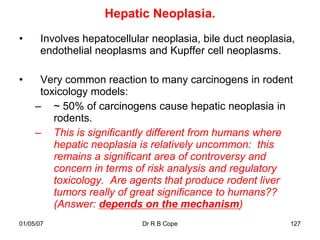 Hepatic Neoplasia.
•      Involves hepatocellular neoplasia, bile duct neoplasia,
       endothelial neoplasms and Kupffer cell neoplasms.

•     Very common reaction to many carcinogens in rodent
      toxicology models:
     – ~ 50% of carcinogens cause hepatic neoplasia in
         rodents.
     – This is significantly different from humans where
         hepatic neoplasia is relatively uncommon: this
         remains a significant area of controversy and
         concern in terms of risk analysis and regulatory
         toxicology. Are agents that produce rodent liver
         tumors really of great significance to humans??
         (Answer: depends on the mechanism)
01/05/07                     Dr R B Cope                     127
 
