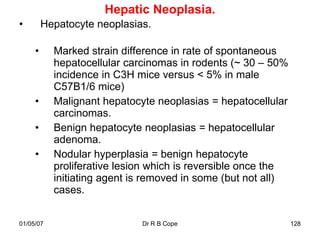 Hepatic Neoplasia.
•        Hepatocyte neoplasias.

     •     Marked strain difference in rate of spontaneous
           hepatocellular carcinomas in rodents (~ 30 – 50%
           incidence in C3H mice versus < 5% in male
           C57B1/6 mice)
     •     Malignant hepatocyte neoplasias = hepatocellular
           carcinomas.
     •     Benign hepatocyte neoplasias = hepatocellular
           adenoma.
     •     Nodular hyperplasia = benign hepatocyte
           proliferative lesion which is reversible once the
           initiating agent is removed in some (but not all)
           cases.


01/05/07                     Dr R B Cope                       128
 