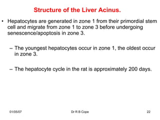 Structure of the Liver Acinus.
• Hepatocytes are generated in zone 1 from their primordial stem
  cell and migrate from zone 1 to zone 3 before undergoing
  senescence/apoptosis in zone 3.

   – The youngest hepatocytes occur in zone 1, the oldest occur
     in zone 3.

   – The hepatocyte cycle in the rat is approximately 200 days.




   01/05/07                 Dr R B Cope                     22
 