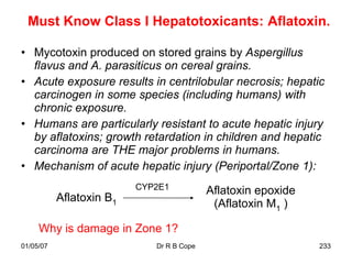 Must Know Class I Hepatotoxicants: Aflatoxin.

• Mycotoxin produced on stored grains by Aspergillus
  flavus and A. parasiticus on cereal grains.
• Acute exposure results in centrilobular necrosis; hepatic
  carcinogen in some species (including humans) with
  chronic exposure.
• Humans are particularly resistant to acute hepatic injury
  by aflatoxins; growth retardation in children and hepatic
  carcinoma are THE major problems in humans.
• Mechanism of acute hepatic injury (Periportal/Zone 1):
                          CYP2E1           Aflatoxin epoxide
           Aflatoxin B1
                                            (Aflatoxin M1 )

     Why is damage in Zone 1?
01/05/07                     Dr R B Cope                       233
 