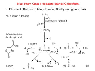 Must Know Class I Hepatotoxicants: Chloroform.
• Classical effect is centrilobular/zone 3 fatty change/necrosis
• Mechanism:
NU = tissue nuleophile




                           Phosgene




01/05/07                     Dr R B Cope                           239
 