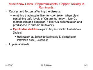Must Know Class I Hepatotoxicants: Copper Toxicity in
                       Ruminants.
• Causes and factors affecting the disease:
   – Anything that impairs liver function (even when diets
     containing safe levels of Cu are fed) may ↓ liver Cu
     metabolism and excretion, ↑ liver Cu accumulation and
     predispose to chronic Cu toxicity.
   – Pyrrolizidine alkaloids are particularly important in Australia/New
     Zealand.
      • Heliotropium sp, Echium sp (particularly E. plantagineum;
        Paterson’s curse), Senecio sp
 Lupine alkaloids




01/05/07                         Dr R B Cope                               249
 
