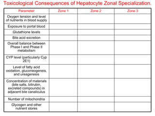 Toxicological Consequences of Hepatocyte Zonal Specialization.
         Parameter              Zone 1   Zone 2    Zone 3
  Oxygen tension and level
 of nutrients in blood supply
  Exposure to portal blood
     Glutathione levels
     Bile acid excretion
  Overall balance between
   Phase I and Phase II
        metabolism
 CYP level (particularly Cyp
            2E1)
     Level of fatty acid
 oxidation, gluconeogeneis,
      and ureagenesis
 Concentration of materials
    (bile salts, bilirubin,
  excreted compounds) in
  adjacent bile canaliculus

  Number of mitochondria
    Glycogen and other
      nutrient stores
 