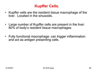 Kupffer Cells.
• Kupffer cells are the resident tissue macrophage of the
  liver. Located in the sinusoids.

• Large number of Kupffer cells are present in the liver:
  80% of body‟s resident tissue macrophages.

• Fully functional macrophage: can trigger inflammation
  and act as antigen presenting cells.




01/05/07                   Dr R B Cope                      26
 