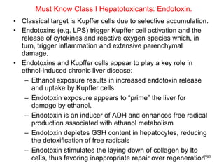 Must Know Class I Hepatotoxicants: Endotoxin.
• Classical target is Kupffer cells due to selective accumulation.
• Endotoxins (e.g. LPS) trigger Kupffer cell activation and the
  release of cytokines and reactive oxygen species which, in
  turn, trigger inflammation and extensive parenchymal
  damage.
• Endotoxins and Kupffer cells appear to play a key role in
  ethnol-induced chronic liver disease:
   – Ethanol exposure results in increased endotoxin release
      and uptake by Kupffer cells.
   – Endotoxin exposure appears to “prime” the liver for
      damage by ethanol.
   – Endotoxin is an inducer of ADH and enhances free radical
      production associated with ethanol metabolism
   – Endotoxin depletes GSH content in hepatocytes, reducing
      the detoxification of free radicals
   – Endotoxin stimulates the laying down of collagen by Ito
      cells, thus favoring inappropriate repair over regeneration260
 