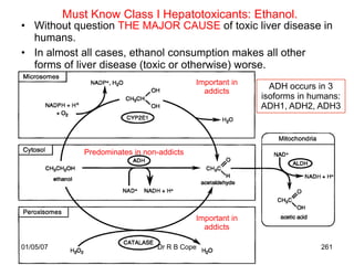 Must Know Class I Hepatotoxicants: Ethanol.
• Without question THE MAJOR CAUSE of toxic liver disease in
  humans.
• In almost all cases, ethanol consumption makes all other
  forms of liver disease (toxic or otherwise) worse.
                                             Important in
                                                              ADH occurs in 3
                                               addicts
                                                            isoforms in humans:
                                                            ADH1, ADH2, ADH3




               Predominates in non-addicts




                                             Important in
                                               addicts

01/05/07                          Dr R B Cope                             261
 
