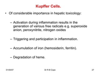 Kupffer Cells.
• Of considerable importance in hepatic toxicology:

    – Activation during inflammation results in the
      generation of various free radicals e.g. superoxide
      anion, peroxynitrite, nitrogen oxides

    – Triggering and participation in inflammation.

    – Accumulation of iron (hemosiderin, ferritin).

    – Degradation of heme.


01/05/07                    Dr R B Cope                     27
 