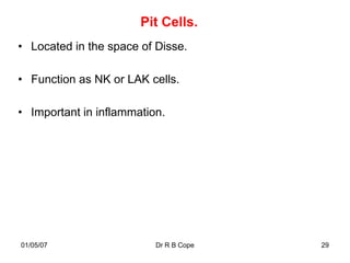 Pit Cells.
• Located in the space of Disse.

• Function as NK or LAK cells.

• Important in inflammation.




01/05/07                  Dr R B Cope   29
 