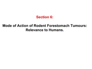 Section 6:

Mode of Action of Rodent Forestomach Tumours:
             Relevance to Humans.
 