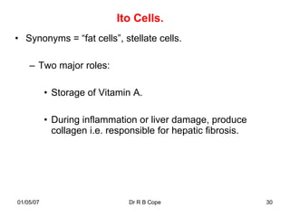 Ito Cells.
• Synonyms = “fat cells”, stellate cells.

    – Two major roles:

           • Storage of Vitamin A.

           • During inflammation or liver damage, produce
             collagen i.e. responsible for hepatic fibrosis.




01/05/07                       Dr R B Cope                     30
 