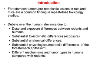 Introduction
• Forestomach tumors/pre-neoplastic lesions in rats and
  mice are a common finding in repeat-dose toxicology
  studies;

• Debate over the human relevance due to:
   • Dose and exposure differences between rodents and
     humans;
   • Substantial toxicokinetic differences (exposure);
   • Substantial anatomical differences;
   • Substantial physiological/metabolic differences of the
     forestomach epithelium;
   • Different mechanisms and tumor types in humans
     compared with rodents;
 