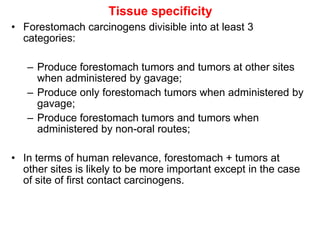Tissue specificity
• Forestomach carcinogens divisible into at least 3
  categories:

   – Produce forestomach tumors and tumors at other sites
     when administered by gavage;
   – Produce only forestomach tumors when administered by
     gavage;
   – Produce forestomach tumors and tumors when
     administered by non-oral routes;

• In terms of human relevance, forestomach + tumors at
  other sites is likely to be more important except in the case
  of site of first contact carcinogens.
 