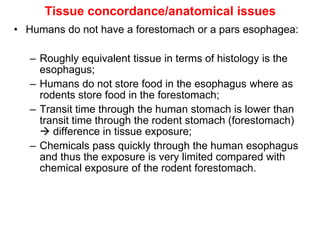 Tissue concordance/anatomical issues
• Humans do not have a forestomach or a pars esophagea:

   – Roughly equivalent tissue in terms of histology is the
     esophagus;
   – Humans do not store food in the esophagus where as
     rodents store food in the forestomach;
   – Transit time through the human stomach is lower than
     transit time through the rodent stomach (forestomach)
      difference in tissue exposure;
   – Chemicals pass quickly through the human esophagus
     and thus the exposure is very limited compared with
     chemical exposure of the rodent forestomach.
 
