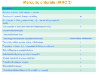 Mercuric chloride (IARC 3)
Parameter
Genotoxicity in vivo that is relevant to humans                                          -
Forestomach cancers following oral dosing                                                +
Not observed in drinking water studies, only observed with gavage/diet                   ?
studies
Only observed at doses that irritate the forestomach (> MTD)                             +
Uncommon tumour types;                                                                   -
Tumours at multiple sites;                                                               -
Tumours by more than one route of administration;                        (thyroid follicular cell adenomas)

Tumours in multiple species, strains, or both sexes;                                     -
Progression of lesions from preneoplastic to benign to malignant;                        -
Reduced latency of neoplastic lesions;                                                   -
Metastases (malignancy, severity of histopath);                                          -
Unusual magnitude of tumour response;                                                    -
Proportion of malignant tumours;                                                         -
Dose-related increases;                                                                  -
Tumour promulgation following the cessation of exposure.                                 -
 