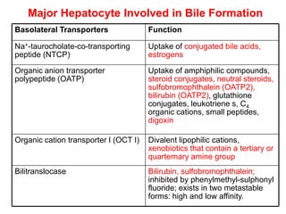 Major Hepatocyte Involved in Bile Formation
Basolateral Transporters               Function

Na+-taurocholate-co-transporting       Uptake of conjugated bile acids,
peptide (NTCP)                         estrogens

Organic anion transporter              Uptake of amphiphilic compounds,
polypeptide (OATP)                     steroid conjugates, neutral steroids,
                                       sulfobromophthalein (OATP2),
                                       bilirubin (OATP2), glutathione
                                       conjugates, leukotriene s, C4
                                       organic cations, small peptides,
                                       digoxin

Organic cation transporter I (OCT I)   Divalent lipophilic cations,
                                       xenobiotics that contain a tertiary or
                                       quarternary amine group
Bilitranslocase                        Bilirubin, sulfobromophthalein;
                                       inhibited by phenylmethyl-sulphonyl
                                       fluoride; exists in two metastable
                                       forms: high and low affinity.
 