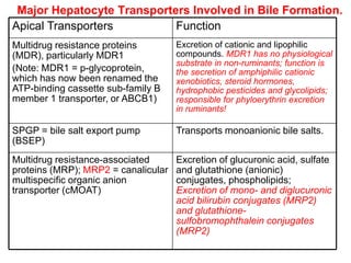 Major Hepatocyte Transporters Involved in Bile Formation.
Apical Transporters         Function
Multidrug resistance proteins        Excretion of cationic and lipophilic
(MDR), particularly MDR1             compounds. MDR1 has no physiological
                                     substrate in non-ruminants; function is
(Note: MDR1 = p-glycoprotein,        the secretion of amphiphilic cationic
which has now been renamed the       xenobiotics, steroid hormones,
ATP-binding cassette sub-family B    hydrophobic pesticides and glycolipids;
member 1 transporter, or ABCB1)      responsible for phyloerythrin excretion
                                     in ruminants!

SPGP = bile salt export pump         Transports monoanionic bile salts.
(BSEP)
Multidrug resistance-associated      Excretion of glucuronic acid, sulfate
proteins (MRP); MRP2 = canalicular   and glutathione (anionic)
multispecific organic anion          conjugates, phospholipids;
transporter (cMOAT)                  Excretion of mono- and diglucuronic
                                     acid bilirubin conjugates (MRP2)
                                     and glutathione-
                                     sulfobromophthalein conjugates
                                     (MRP2)
 