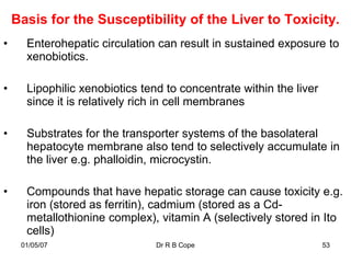 Basis for the Susceptibility of the Liver to Toxicity.
•     Enterohepatic circulation can result in sustained exposure to
      xenobiotics.

•     Lipophilic xenobiotics tend to concentrate within the liver
      since it is relatively rich in cell membranes

•     Substrates for the transporter systems of the basolateral
      hepatocyte membrane also tend to selectively accumulate in
      the liver e.g. phalloidin, microcystin.

•     Compounds that have hepatic storage can cause toxicity e.g.
      iron (stored as ferritin), cadmium (stored as a Cd-
      metallothionine complex), vitamin A (selectively stored in Ito
      cells)
     01/05/07                   Dr R B Cope                         53
 