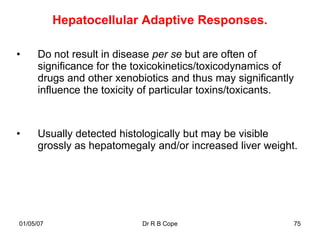 Hepatocellular Adaptive Responses.

•     Do not result in disease per se but are often of
      significance for the toxicokinetics/toxicodynamics of
      drugs and other xenobiotics and thus may significantly
      influence the toxicity of particular toxins/toxicants.



•     Usually detected histologically but may be visible
      grossly as hepatomegaly and/or increased liver weight.




01/05/07                    Dr R B Cope                    75
 