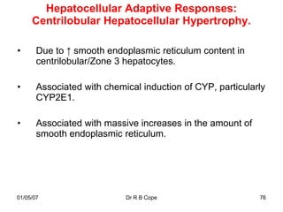 Hepatocellular Adaptive Responses:
     Centrilobular Hepatocellular Hypertrophy.

•      Due to ↑ smooth endoplasmic reticulum content in
       centrilobular/Zone 3 hepatocytes.

•      Associated with chemical induction of CYP, particularly
       CYP2E1.

•      Associated with massive increases in the amount of
       smooth endoplasmic reticulum.




01/05/07                    Dr R B Cope                     76
 