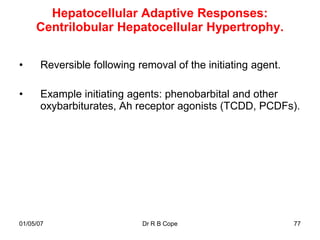 Hepatocellular Adaptive Responses:
     Centrilobular Hepatocellular Hypertrophy.

•     Reversible following removal of the initiating agent.

•     Example initiating agents: phenobarbital and other
      oxybarbiturates, Ah receptor agonists (TCDD, PCDFs).




01/05/07                    Dr R B Cope                       77
 