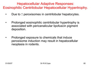 Hepatocellular Adaptive Responses:
Eosinophilic Centrilobular Hepatocellular Hypertrophy.
 •     Due to ↑ peroxisomes in centrilobular hepatocytes.

 •     Prolonged eosinophilic centrilobular hypertrophy is
       associated with pericanalicular lipofuscin pigment
       deposition.

 •     Prolonged exposure to chemicals that induce
       peroxisome induction may result in hepatocellular
       neoplasia in rodents.




 01/05/07                   Dr R B Cope                      80
 