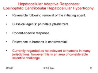 Hepatocellular Adaptive Responses:
Eosinophilic Centrilobular Hepatocellular Hypertrophy.
 •      Reversible following removal of the initiating agent.

 •      Classical agents: phthalate plasticizers.

 •      Rodent-specific response.

 •      Relevance to humans is controversial!

 •      Currently regarded as not relevant to humans in many
        jurisdictions, however this is an area of considerable
        scientific challenge

 01/05/07                     Dr R B Cope                       81
 