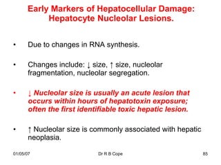 Early Markers of Hepatocellular Damage:
           Hepatocyte Nucleolar Lesions.


•     Due to changes in RNA synthesis.

•     Changes include: ↓ size, ↑ size, nucleolar
      fragmentation, nucleolar segregation.

•     ↓ Nucleolar size is usually an acute lesion that
      occurs within hours of hepatotoxin exposure;
      often the first identifiable toxic hepatic lesion.

•     ↑ Nucleolar size is commonly associated with hepatic
      neoplasia.

01/05/07                   Dr R B Cope                       85
 