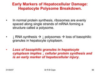 Early Markers of Hepatocellular Damage:
         Hepatocyte Polysome Breakdown.

•     In normal protein synthesis, ribosomes are evenly
      spaced along single strands of mRNA forming a
      structure called a polysome.

•     ↓ RNA synthesis  ↓ polysomes  loss of basophilic
      granules in hepatocyte cytoplasm.

•     Loss of basophilic granules in hepatocyte
      cytoplasm implies ↓ cellular protein synthesis and
      is an early marker of hepatocellular injury.


01/05/07                   Dr R B Cope                     86
 