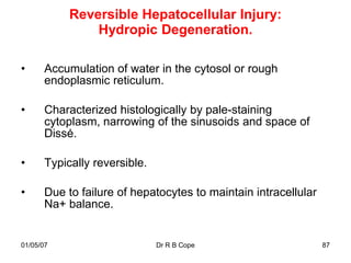 Reversible Hepatocellular Injury:
                Hydropic Degeneration.

•      Accumulation of water in the cytosol or rough
       endoplasmic reticulum.

•      Characterized histologically by pale-staining
       cytoplasm, narrowing of the sinusoids and space of
       Dissė.

•      Typically reversible.

•      Due to failure of hepatocytes to maintain intracellular
       Na+ balance.


01/05/07                       Dr R B Cope                       87
 