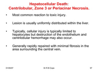 Hepatocellular Death:
    Centrilobular, Zone 3 or Periacinar Necrosis.
•     Most common reaction to toxic injury.

•     Lesion is usually uniformly distributed within the liver.

•     Typically, cellular injury is typically limited to
      hepatocytes but destruction of the endothelium and
      centrilobular hemorrhage may also occur.

•     Generally rapidly repaired with minimal fibrosis in the
      area surrounding the central vein.




01/05/07                     Dr R B Cope                          97
 