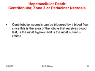 Hepatocellular Death:
    Centrilobular, Zone 3 or Periacinar Necrosis.



•      Centrilobular necrosis can be triggered by ↓ blood flow
       since this is the area of the lobule that receives blood
       last, is the most hypoxic and is the most nutrient-
       limited.




01/05/07                     Dr R B Cope                      98
 