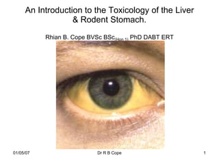 An Introduction to the Toxicology of the Liver
                  & Rodent Stomach.
           Rhian B. Cope BVSc BSc(Hon 1) PhD DABT ERT




01/05/07                    Dr R B Cope                 1
 