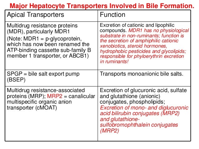 Liver nicnas-nov-2012
