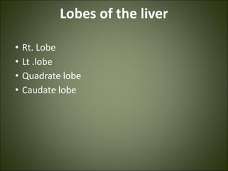 Lobes of the liver
• Rt. Lobe
• Lt .lobe
• Quadrate lobe
• Caudate lobe
 
