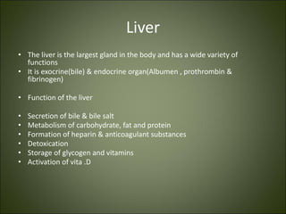 Liver
• The liver is the largest gland in the body and has a wide variety of
functions
• It is exocrine(bile) & endocrine organ(Albumen , prothrombin &
fibrinogen)
• Function of the liver
• Secretion of bile & bile salt
• Metabolism of carbohydrate, fat and protein
• Formation of heparin & anticoagulant substances
• Detoxication
• Storage of glycogen and vitamins
• Activation of vita .D
 