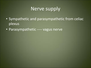 Nerve supply
• Sympathetic and parasympathetic from celiac
plexus
• Parasympathetic ---- vagus nerve
 