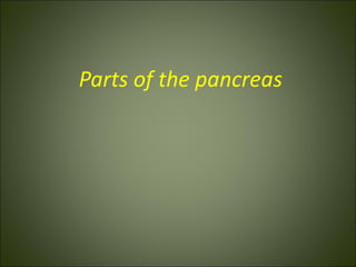 Parts of the pancreas
 