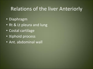 Relations of the liver Anteriorly
• Diaphragm
• Rt & Lt pleura and lung
• Costal cartilage
• Xiphoid process
• Ant. abdominal wall
 