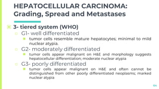 LIVER pathology. tumor and tumorlike conditions | PPTX