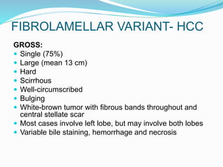 FIBROLAMELLAR VARIANT- HCC
GROSS:
 Single (75%)
 Large (mean 13 cm)
 Hard
 Scirrhous
 Well-circumscribed
 Bulging
 White-brown tumor with fibrous bands throughout and
central stellate scar
 Most cases involve left lobe, but may involve both lobes
 Variable bile staining, hemorrhage and necrosis
 