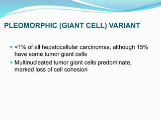 PLEOMORPHIC (GIANT CELL) VARIANT
 <1% of all hepatocellular carcinomas, although 15%
have some tumor giant cells
 Multinucleated tumor giant cells predominate,
marked loss of cell cohesion
 