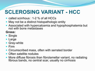 SCLEROSING VARIANT - HCC
 called scirrhous : 1-2 % of all HCCs
 May not be a distinct histopathologic entity
 Associated with hypercalcemia and hypophosphatemia but
not with bone metastases
Gross:
 Single
 Large
 Gray-white
 Firm
 Circumscribed mass, often with serrated border
 Often satellite nodules
 More diffuse fibrosis than fibrolamellar variant, no radiating
fibrous bands, no central scar, usually no cirrhosis
 