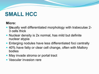 SMALL HCC
Micro:
 Usually well differentiated morphology with trabeculae 2-
3 cells thick
 Nuclear density is 2x normal, has mild but definite
nuclear atypia
 Enlarging nodules have less differentiated foci centrally
 40% have fatty or clear cell change, often with Mallory
bodies
 May invade stroma or portal tract
 Vascular invasion rare
 