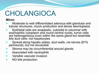 CHOLANGIOCA
Micro:
 Moderate to well differentiated adenoca with glandular and
tubular structures, mucin production and dense desmoplasia
 Epithelial cells are anaplastic, cuboidal to columnar with
eosinophilic cytoplasm and round central nuclei, tumor cells
are heterogeneous even within the same gland but resemble
bile duct cells, not hepatocytes
 Spread along hepatic plates, duct walls, via nerves (81%
perineural), but not sinusoidal
 Stroma may be circumferential around glands
 Associated with neutrophils
 Variable vascular invasion
 NO bile production
 