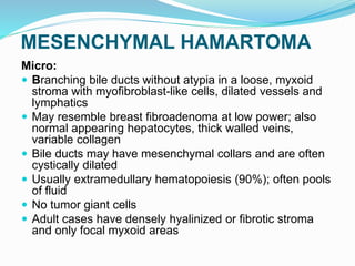 MESENCHYMAL HAMARTOMA
Micro:
 Branching bile ducts without atypia in a loose, myxoid
stroma with myofibroblast-like cells, dilated vessels and
lymphatics
 May resemble breast fibroadenoma at low power; also
normal appearing hepatocytes, thick walled veins,
variable collagen
 Bile ducts may have mesenchymal collars and are often
cystically dilated
 Usually extramedullary hematopoiesis (90%); often pools
of fluid
 No tumor giant cells
 Adult cases have densely hyalinized or fibrotic stroma
and only focal myxoid areas
 
