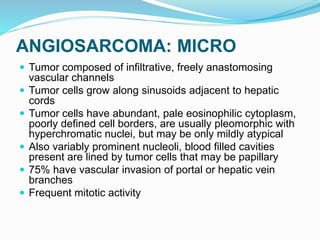 ANGIOSARCOMA: MICRO
 Tumor composed of infiltrative, freely anastomosing
vascular channels
 Tumor cells grow along sinusoids adjacent to hepatic
cords
 Tumor cells have abundant, pale eosinophilic cytoplasm,
poorly defined cell borders, are usually pleomorphic with
hyperchromatic nuclei, but may be only mildly atypical
 Also variably prominent nucleoli, blood filled cavities
present are lined by tumor cells that may be papillary
 75% have vascular invasion of portal or hepatic vein
branches
 Frequent mitotic activity
 