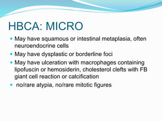 HBCA: MICRO
 May have squamous or intestinal metaplasia, often
neuroendocrine cells
 May have dysplastic or borderline foci
 May have ulceration with macrophages containing
lipofuscin or hemosiderin, cholesterol clefts with FB
giant cell reaction or calcification
 no/rare atypia, no/rare mitotic figures
 