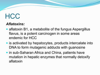HCC
Aflatoxins:
 aflatoxin B1, a metabolite of the fungus Aspergillus
flavus, is a potent carcinogen in some areas
endemic for HCC
 is activated by hepatocytes, products intercalate into
DNA to form mutagenic adducts with guanosine
 in sub-Saharan Africa and China, patients have
mutation in hepatic enzymes that normally detoxify
aflatoxin
 
