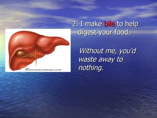 2. I make  bile  to help digest your food. Without me, you'd waste away to nothing. 