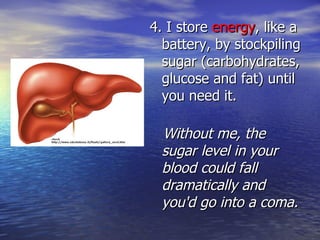 4. I store  energy , like a battery, by stockpiling sugar (carbohydrates, glucose and fat) until you need it. Without me, the sugar level in your blood could fall dramatically and you'd go into a coma. 